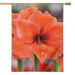 Orange Amaryllis Print House Flag