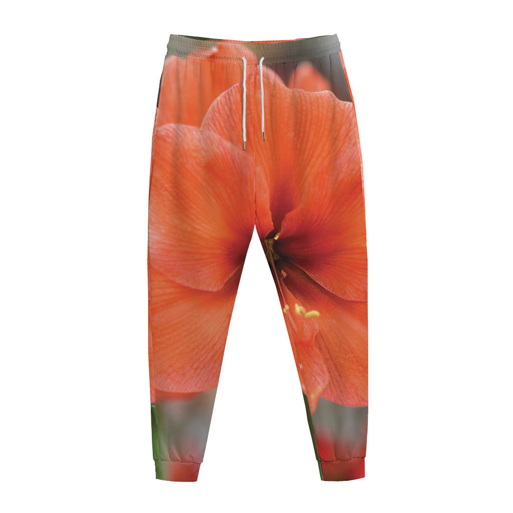 Orange Amaryllis Print Jogger Pants
