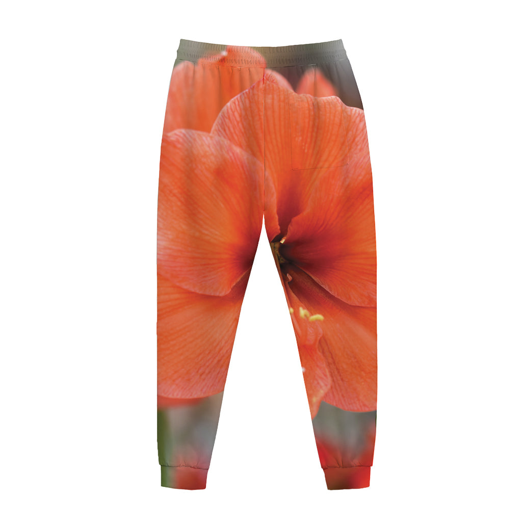 Orange Amaryllis Print Jogger Pants