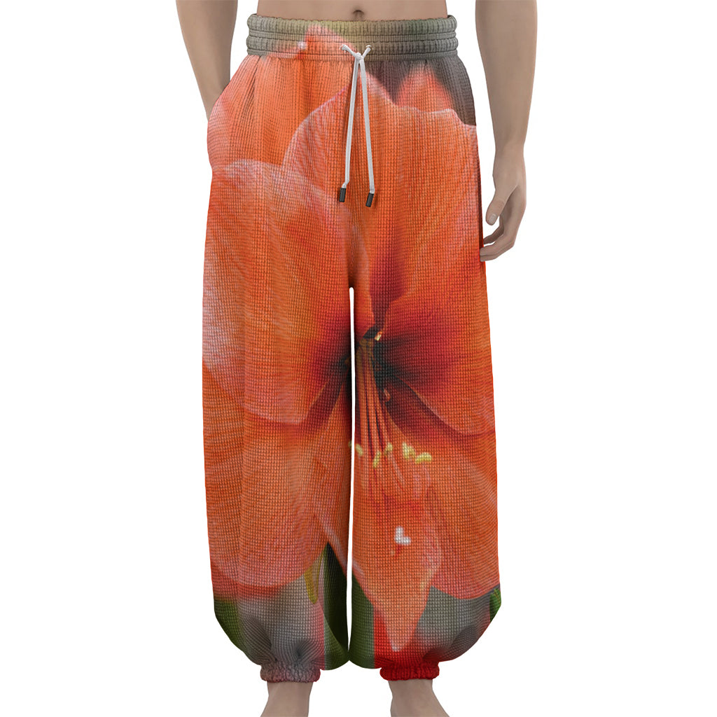 Orange Amaryllis Print Lantern Pants