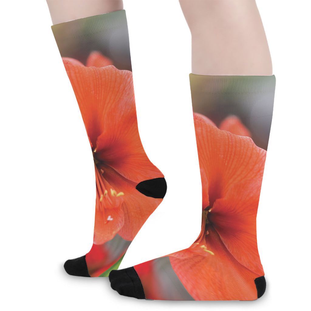 Orange Amaryllis Print Long Socks