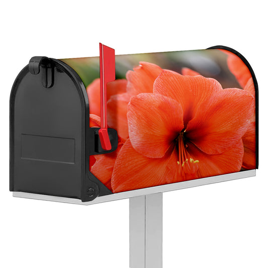 Orange Amaryllis Print Mailbox Cover