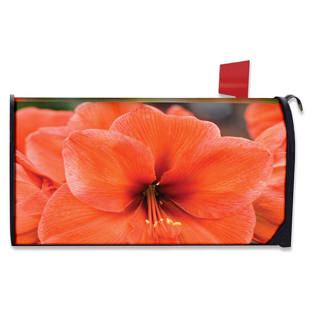Orange Amaryllis Print Mailbox Cover
