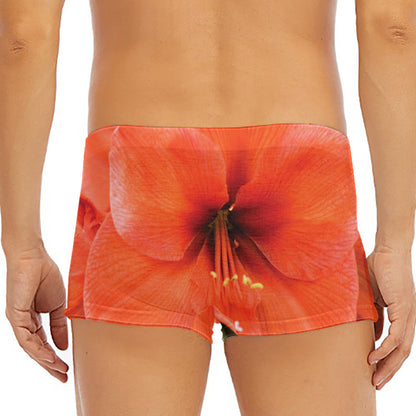 Orange Amaryllis Print Men's Short Boxer Briefs