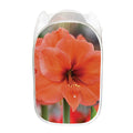 Orange Amaryllis Print Mesh Laundry Hamper