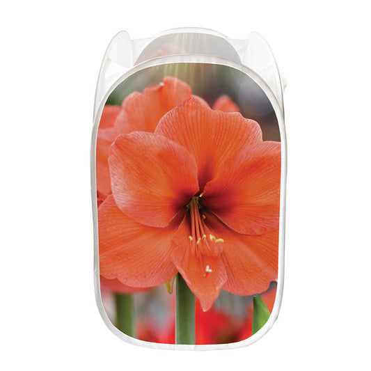Orange Amaryllis Print Mesh Laundry Hamper
