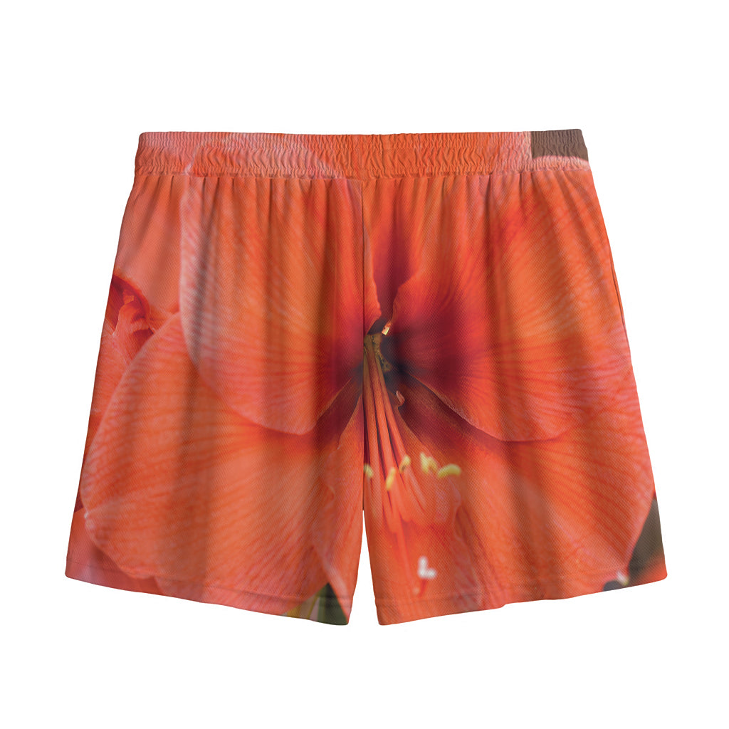 Orange Amaryllis Print Mesh Shorts