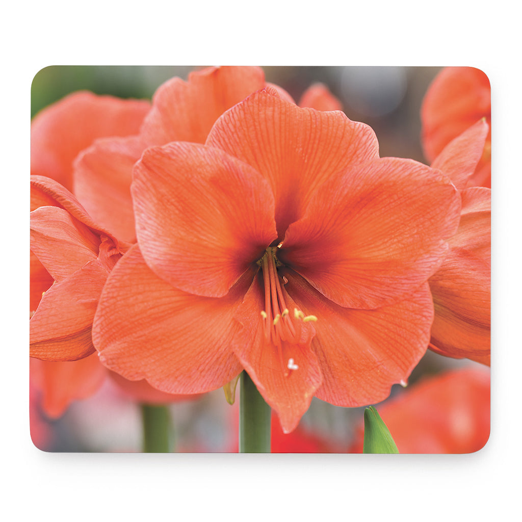 Orange Amaryllis Print Mouse Pad