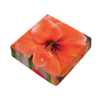 Orange Amaryllis Print Outdoor Seat Cushion Cover