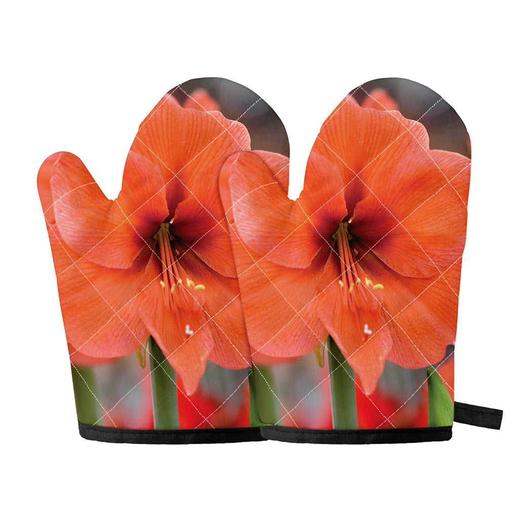 Orange Amaryllis Print Oven Mitts