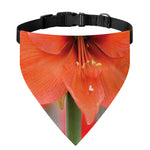 Orange Amaryllis Print Over The Collar Dog Bandana