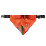Orange Amaryllis Print Over The Collar Dog Bandana
