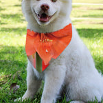 Orange Amaryllis Print Over The Collar Dog Bandana