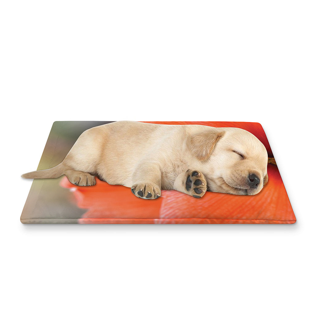 Orange Amaryllis Print Pet Cooling Mat Cover