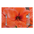 Orange Amaryllis Print Placemat