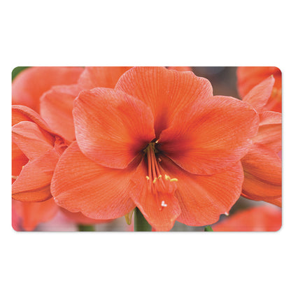 Orange Amaryllis Print Polyester Doormat