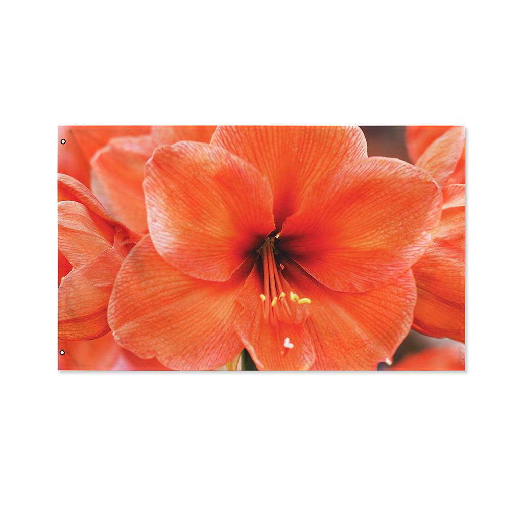 Orange Amaryllis Print Polyester Flag