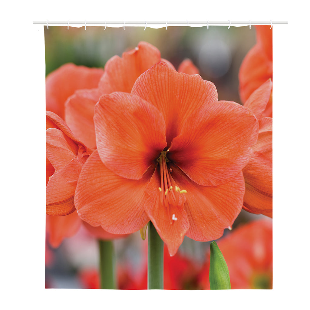 Orange Amaryllis Print Polyester Shower Curtain