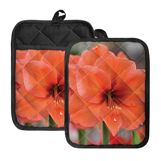 Orange Amaryllis Print Pot Holders With Pocket