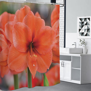 Orange Amaryllis Print Premium Shower Curtain