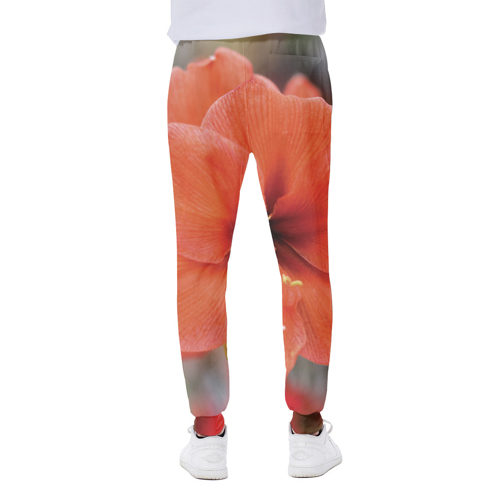 Orange Amaryllis Print Scuba Joggers