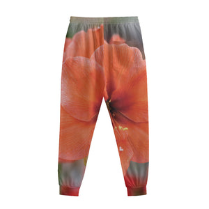 Orange Amaryllis Print Sweatpants