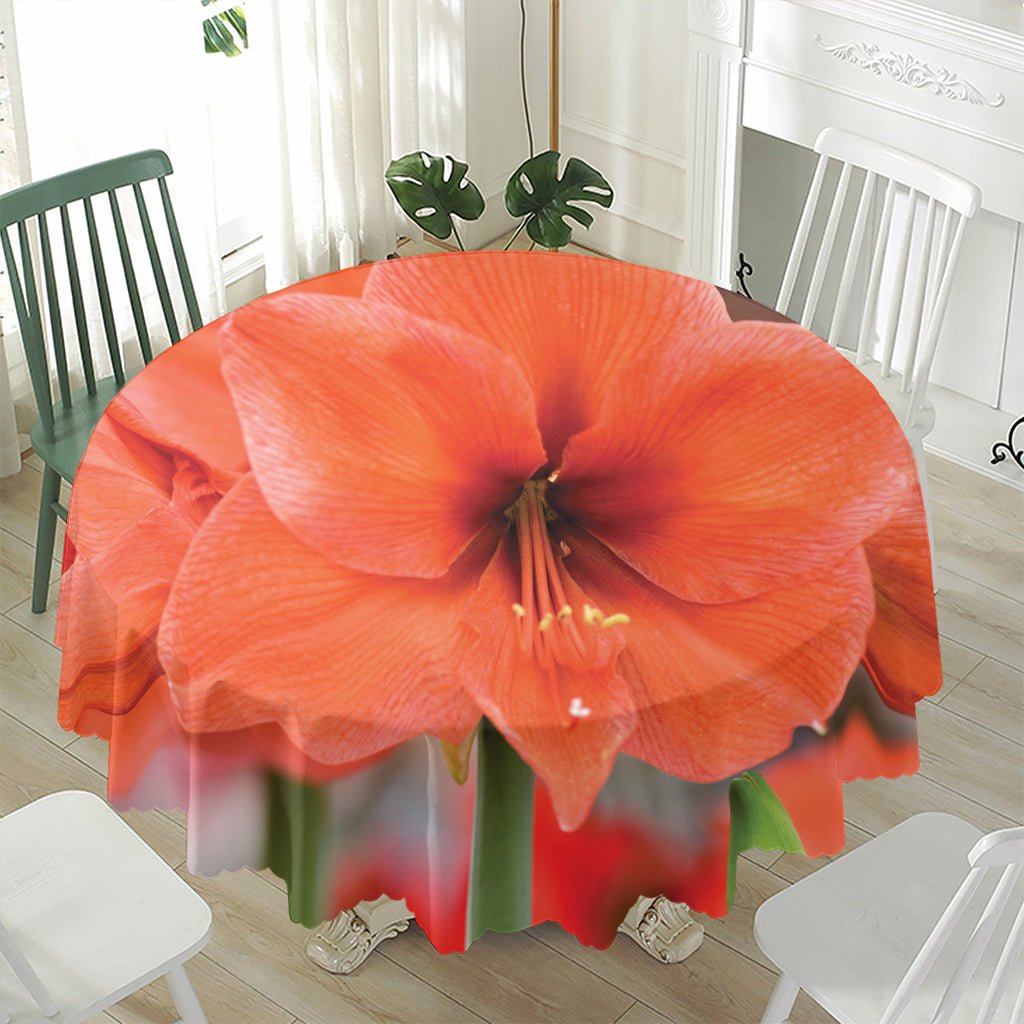 Orange Amaryllis Print Waterproof Round Tablecloth