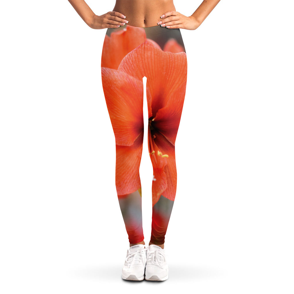 Orange Amaryllis Print Women's Leggings