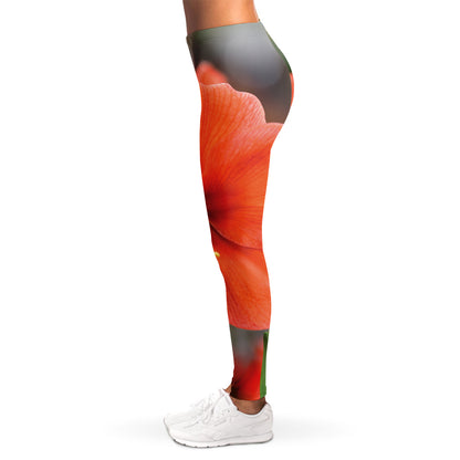 Orange Amaryllis Print Women's Leggings