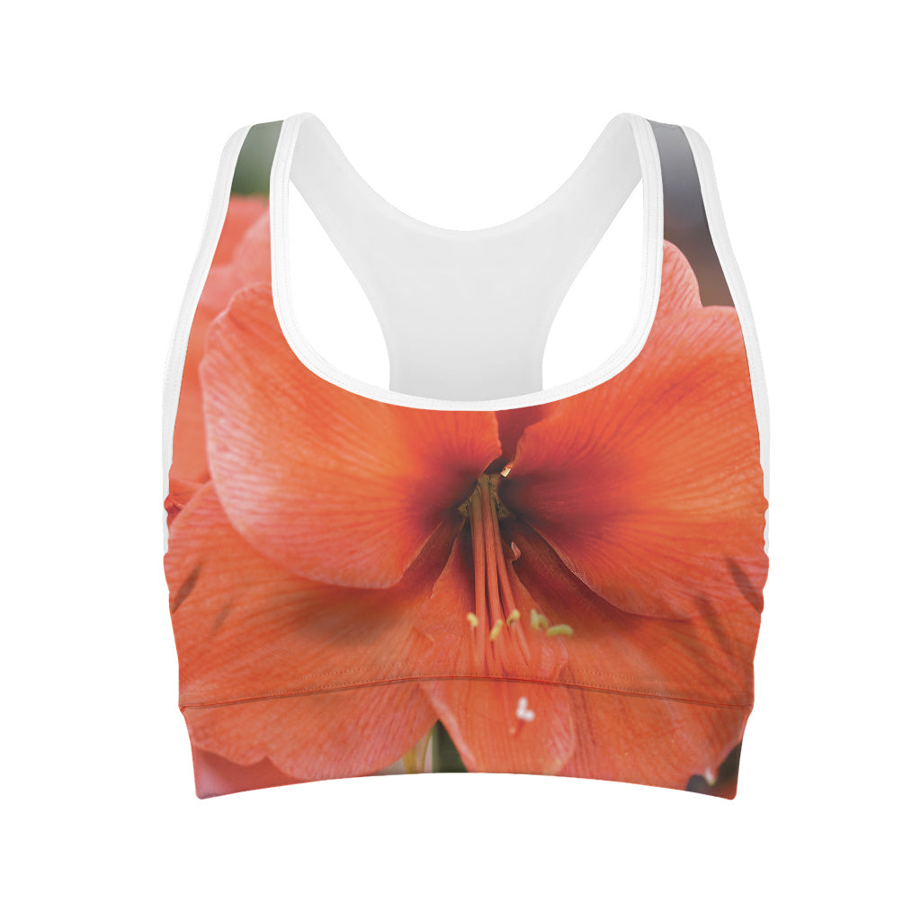 Orange Amaryllis Print Women's Sports Bra