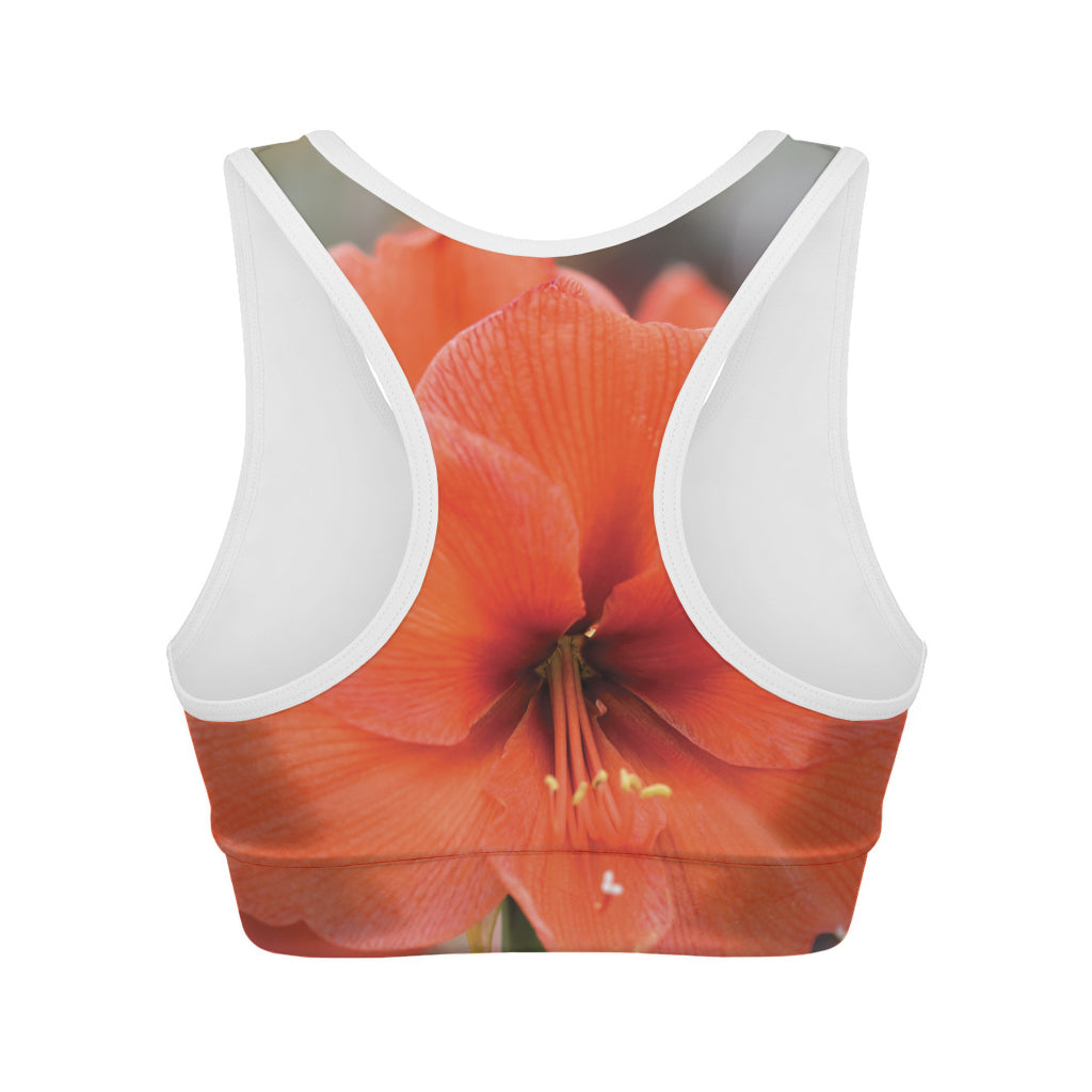 Orange Amaryllis Print Women's Sports Bra