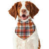 Orange And Black Madras Plaid Print Dog Bandana