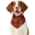 Orange And Black Tartan Pattern Print Dog Bandana