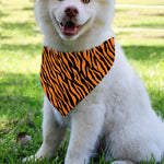 Orange And Black Tiger Stripe Print Over The Collar Dog Bandana
