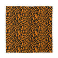 Orange And Black Tiger Stripe Print Silk Bandana