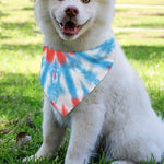 Orange And Blue Tie Dye Print Over The Collar Dog Bandana
