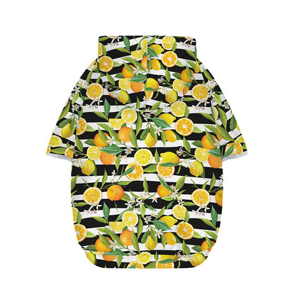 Orange And Lemon Striped Pattern Print Dog Zip Up Hoodie