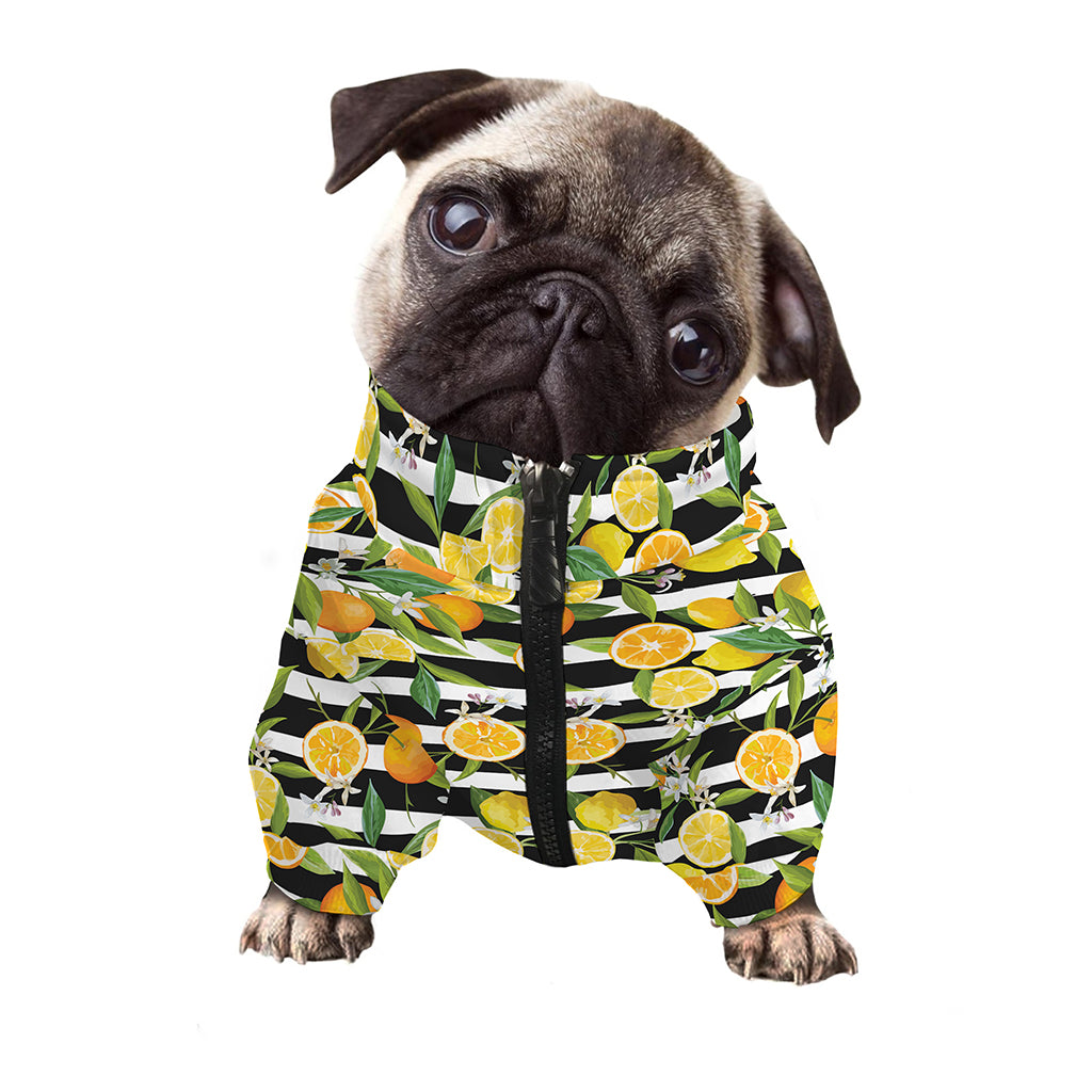 Orange And Lemon Striped Pattern Print Dog Zip Up Jacket