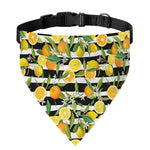Orange And Lemon Striped Pattern Print Over The Collar Dog Bandana
