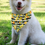 Orange And Lemon Striped Pattern Print Over The Collar Dog Bandana