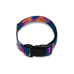 Orange And Purple Butterfly Print Dog Collar