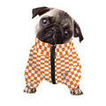 Orange And White Checkered Pattern Print Dog Zip Up Jacket