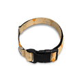 Orange Argyle Pattern Print Dog Collar