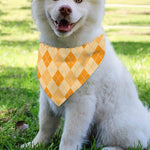Orange Argyle Pattern Print Over The Collar Dog Bandana
