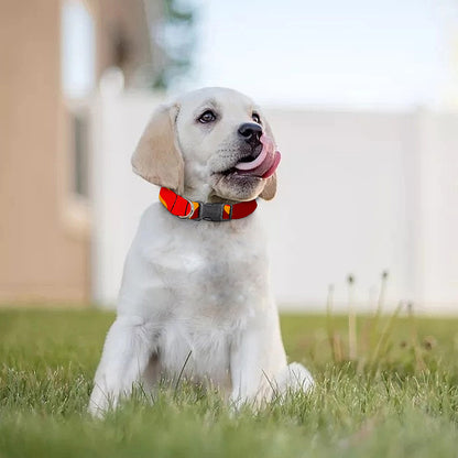 Orange Camouflage Print Dog Collar