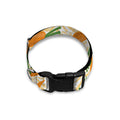 Orange Carrot Pattern Print Dog Collar