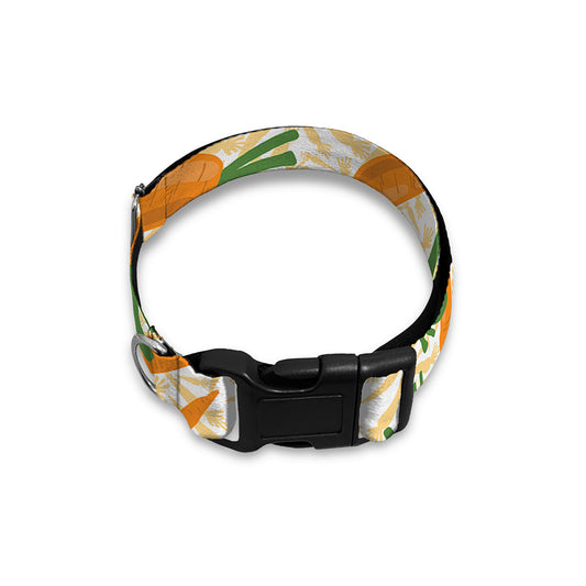 Orange Carrot Pattern Print Dog Collar