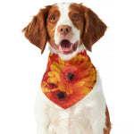 Orange Daisy Flower Print Dog Bandana