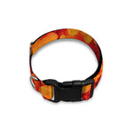 Orange Daisy Flower Print Dog Collar