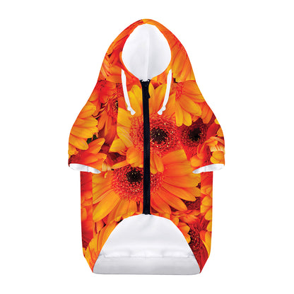 Orange Daisy Flower Print Dog Zip Up Hoodie